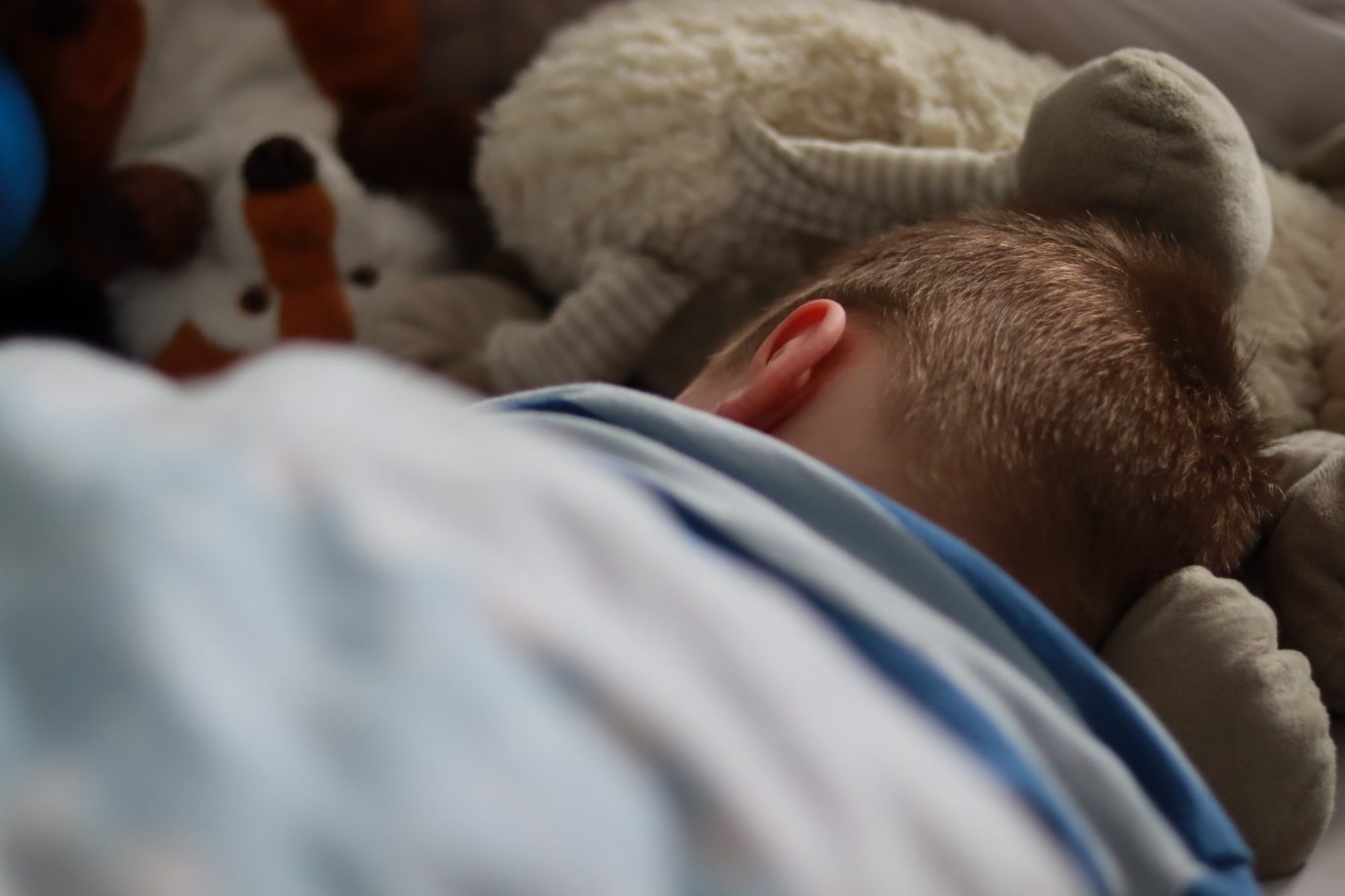 Kleines Kind schläft auf einer Decke, umgeben von Kuscheltieren.